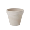 Apollo Pot