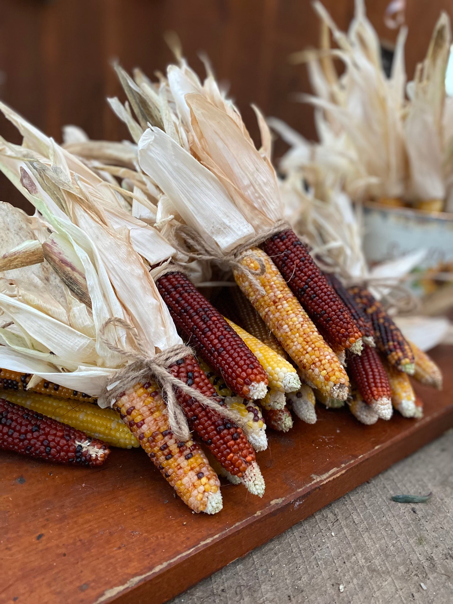 Ornamental Corn