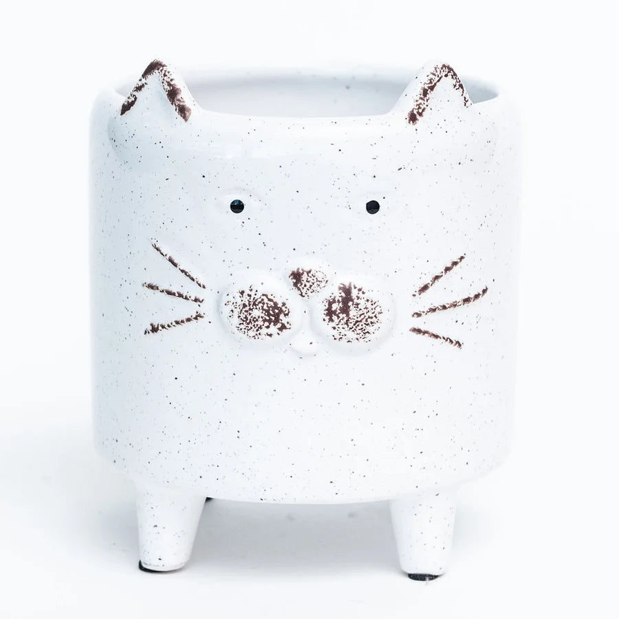 Footed White Cat Dolomite Container