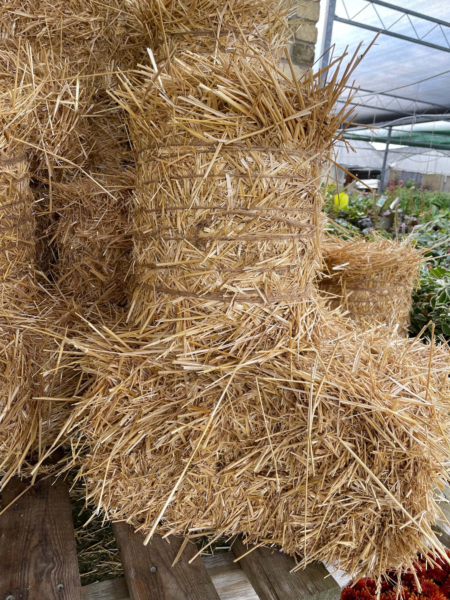 Straw Bale Square