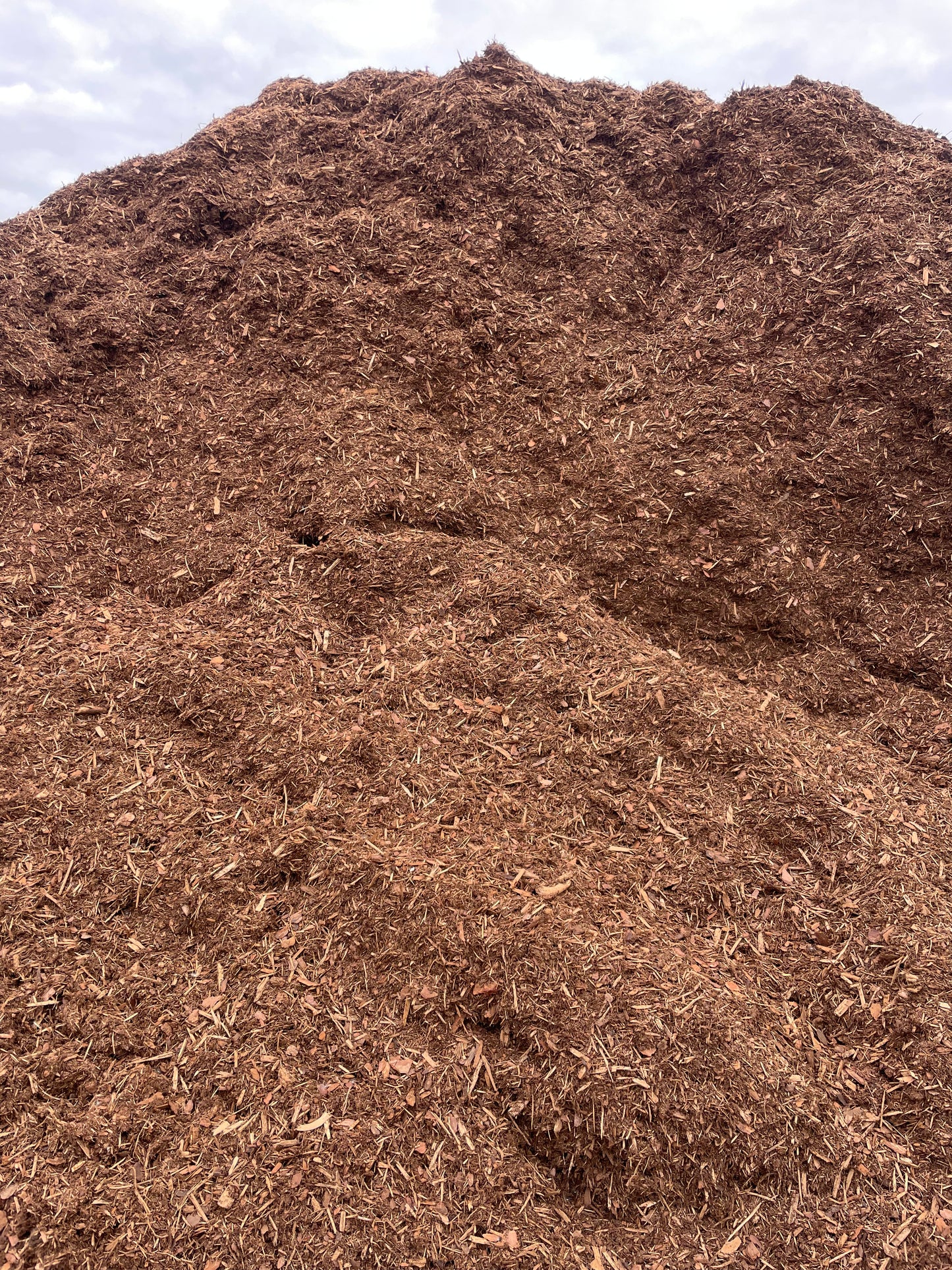 Premium Natural Pine Mulch - Bulk 1 cu yd