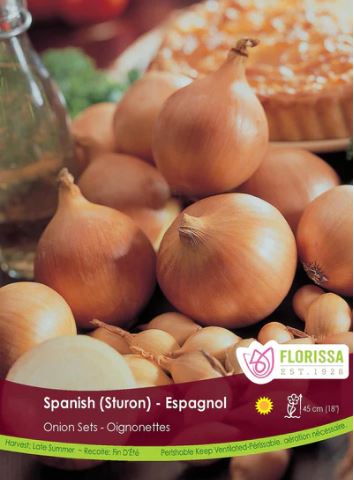 Onion, Spanish - Bulb Set