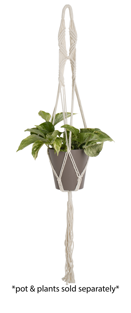 Macrame Plant Hanger