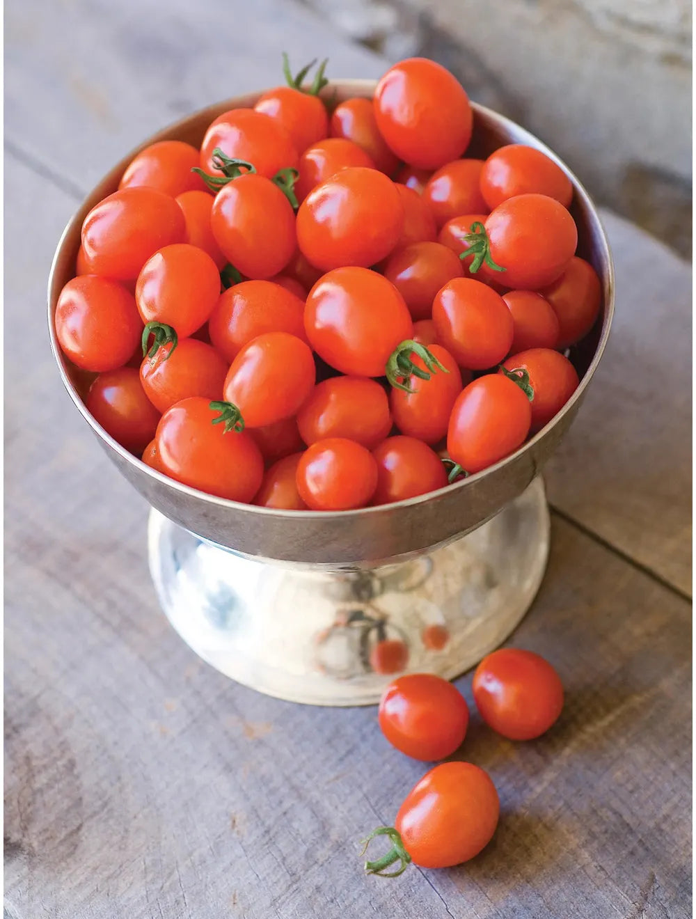 Tomato 'Napa Grape' 4" Fibre