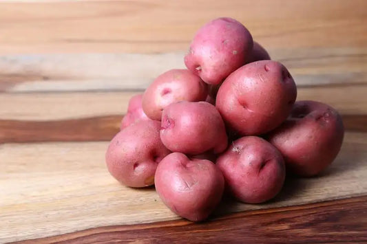 Seed Potato 'Norland'