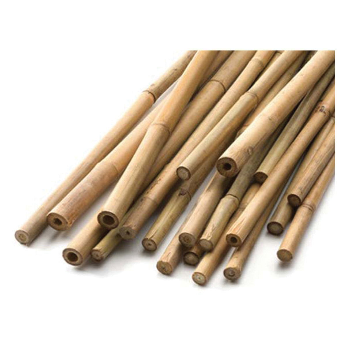 Natural Bamboo Cane 3' x 8-10mm