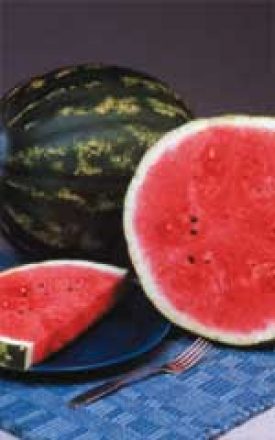 WATERMELONS CRIMSOM SWEET - SEED