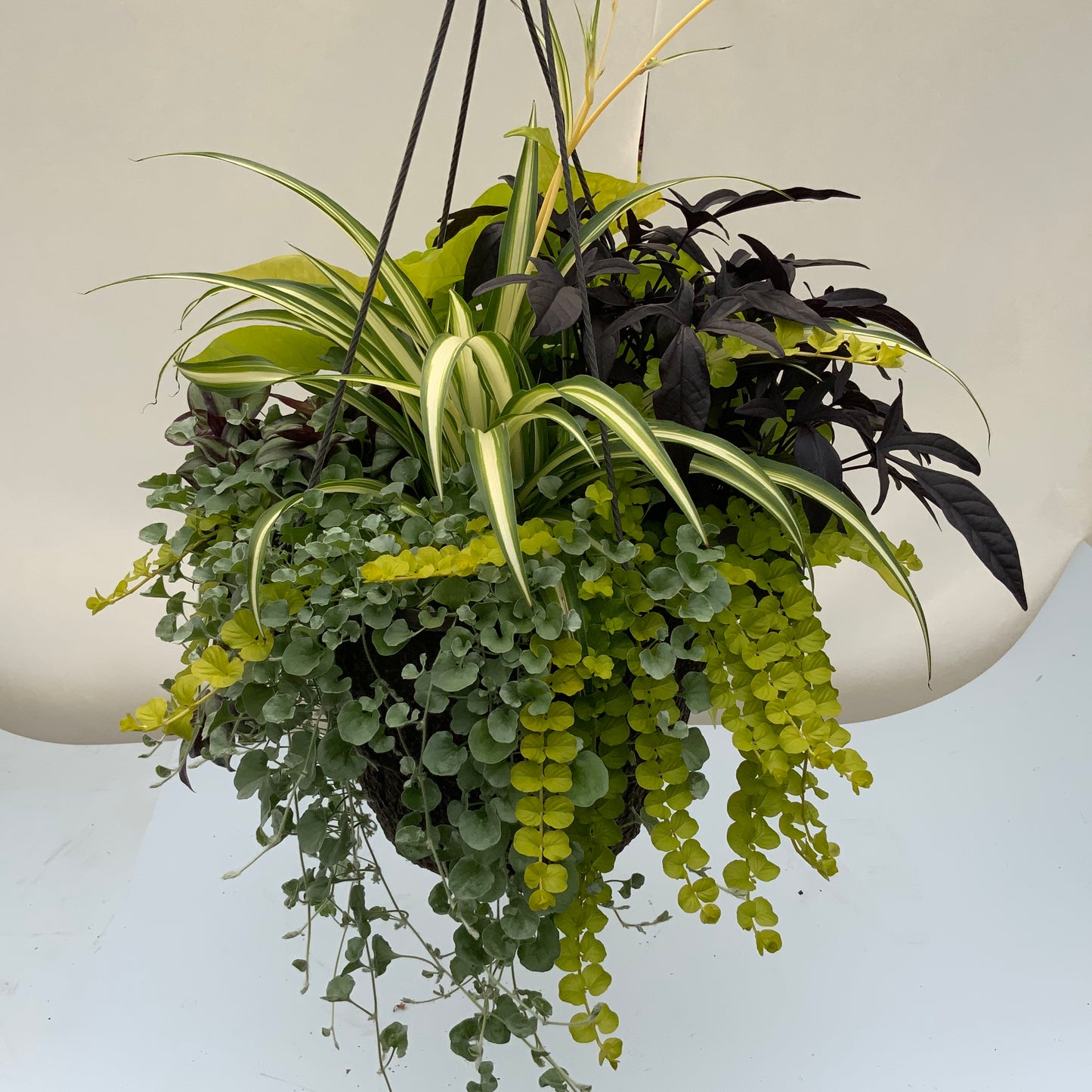 Foliage Mix 12" Fiber Hanging Basket