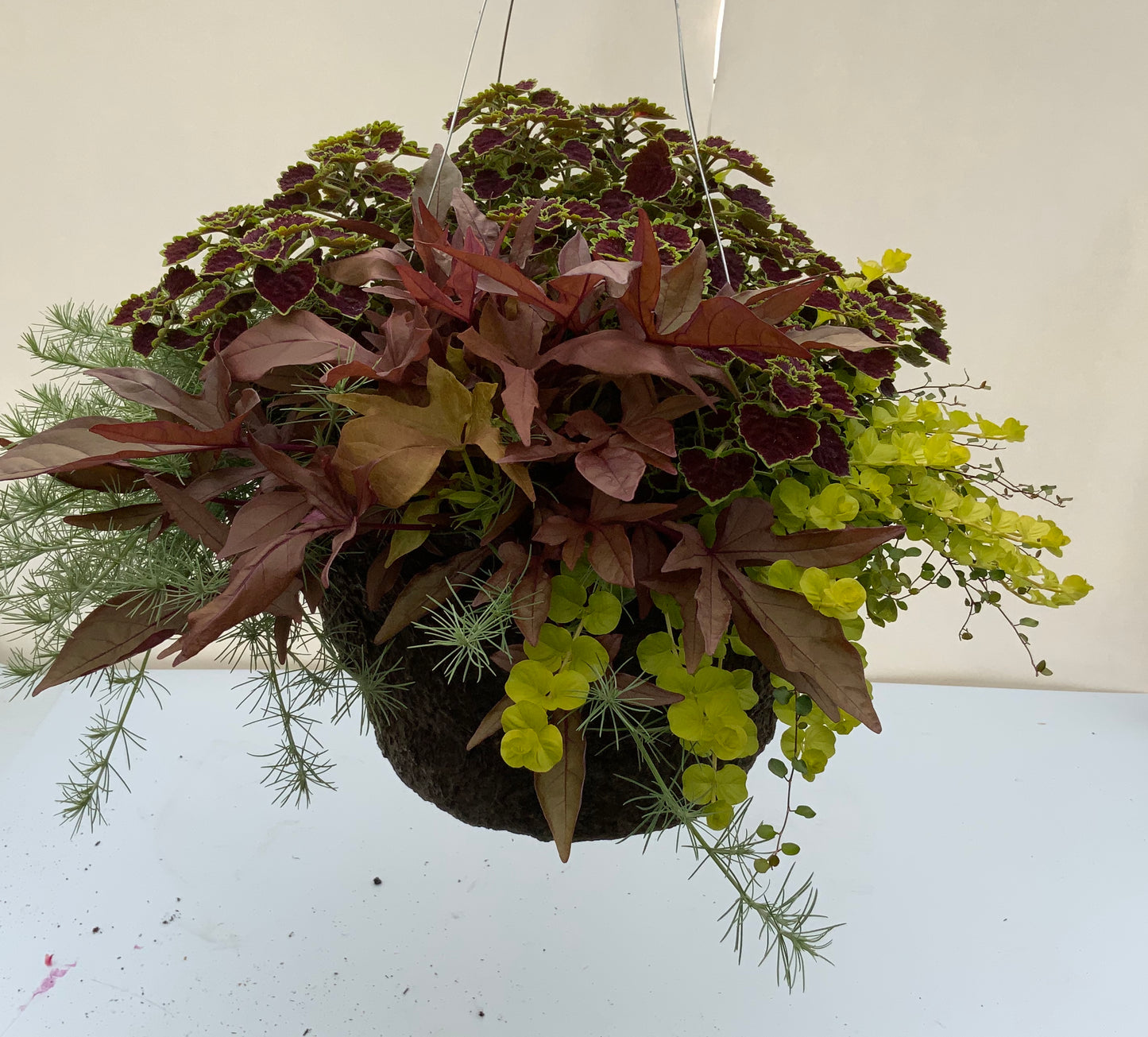 Foliage Mix 14" Fiber Hanging Basket