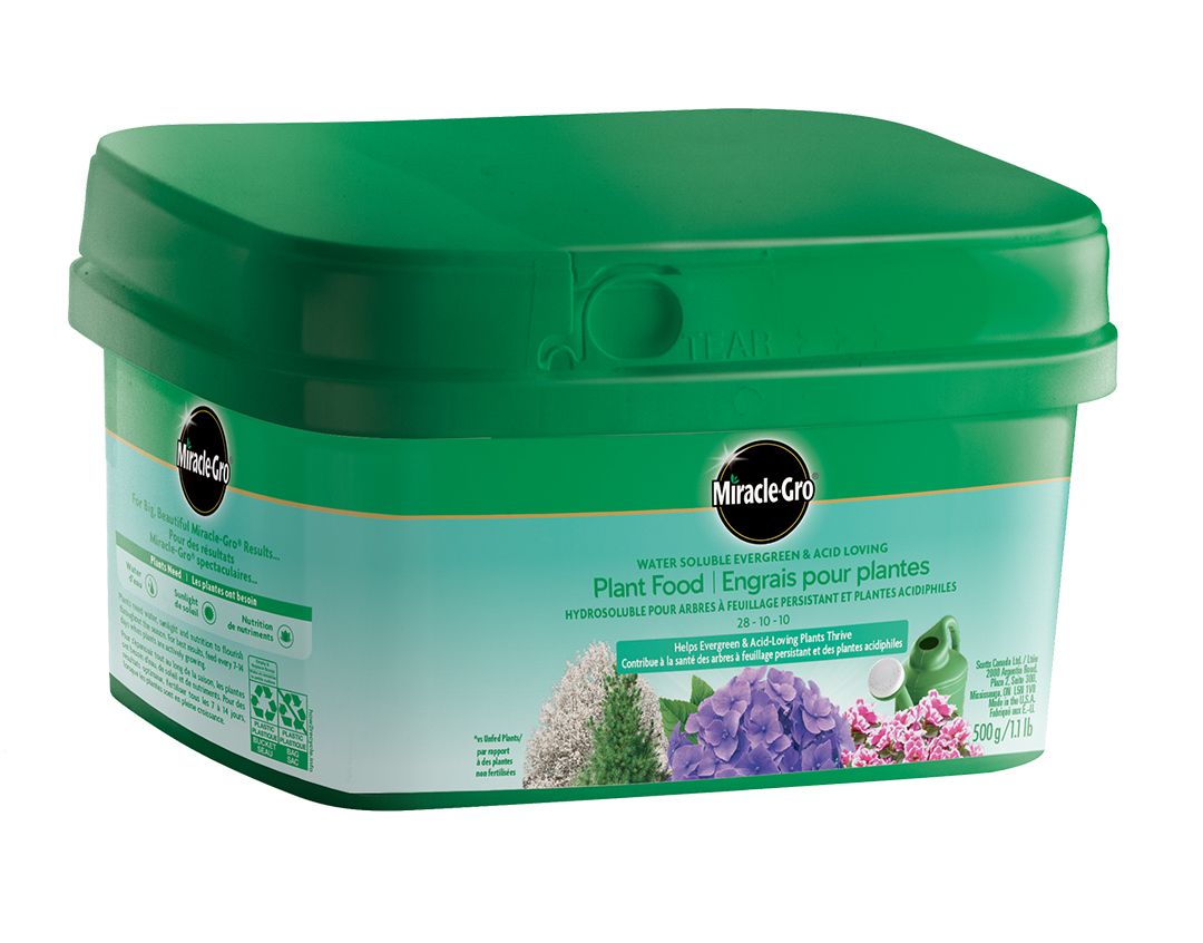 Miracle-Gro Water Soluble Evergreen & Acid-Loving Plant Food 28-10-10 500g