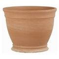 Gallicus Planter