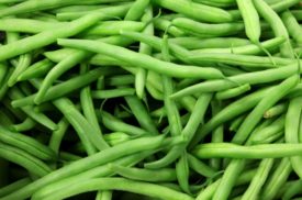 POLE BEAN KENTUCKY WONDER WAX - SEED