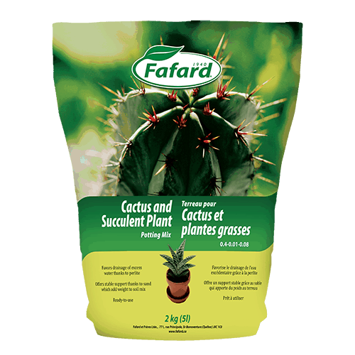 Cactus Potting Soil 2 kg