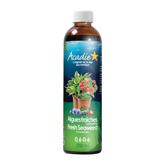 0.6-0-6 Fresh Seaweed Fertilizer Concentrate 250ml