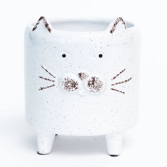 Footed White Cat Dolomite Container