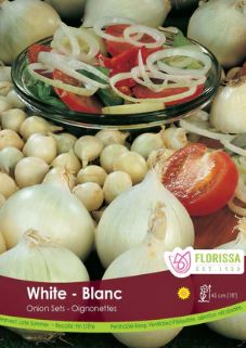 Onion, White - Bulb set