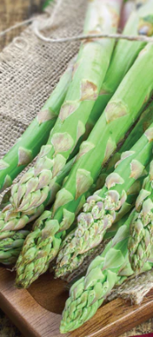 Asparagus 'Equinox' - Bare Root