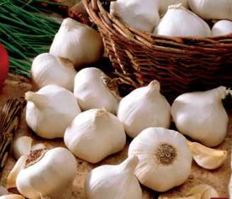 Garlic - Bulbs