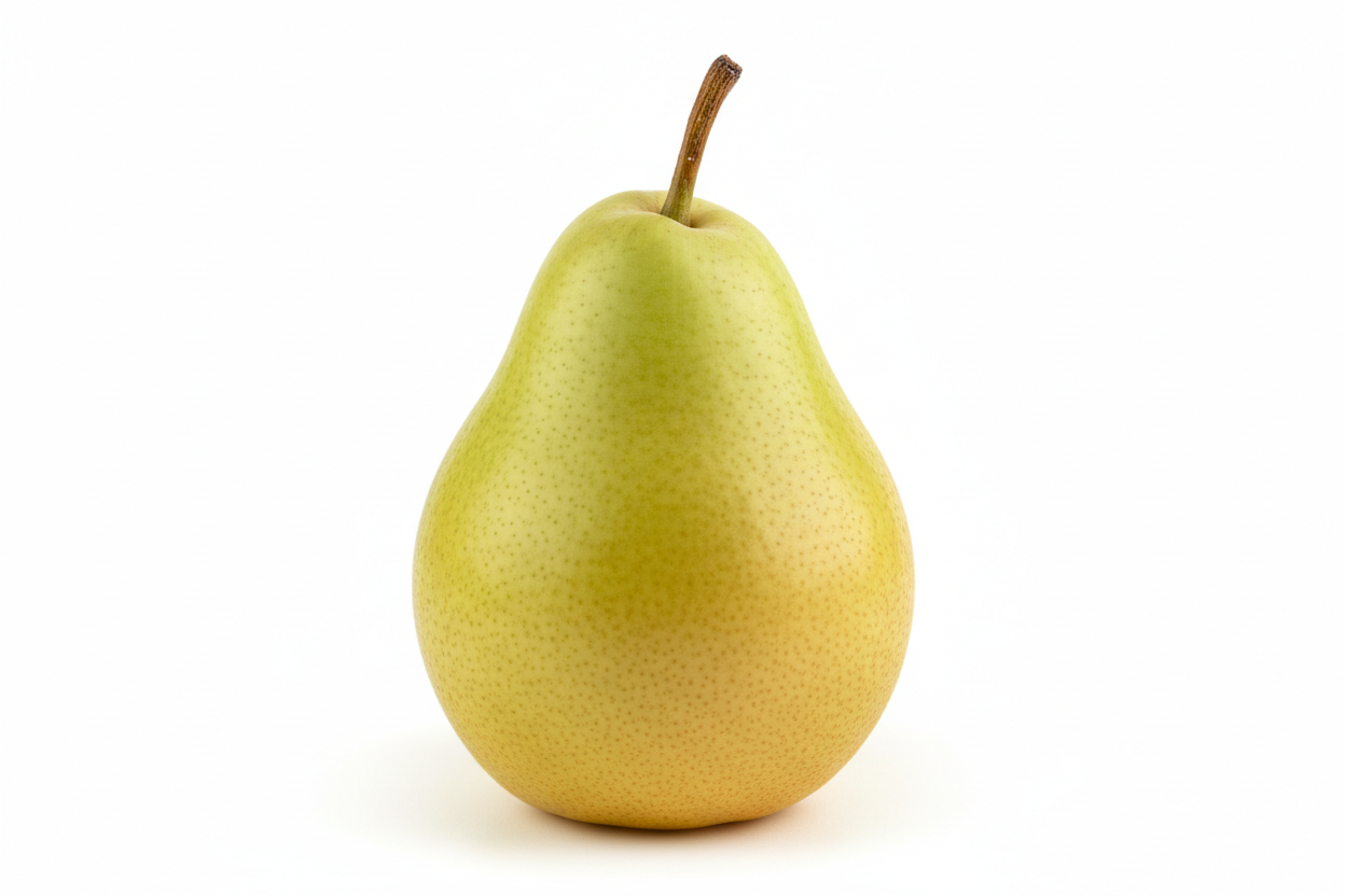 Pear Tree 'Anjou'