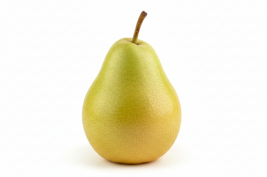Pear Tree 'Anjou'