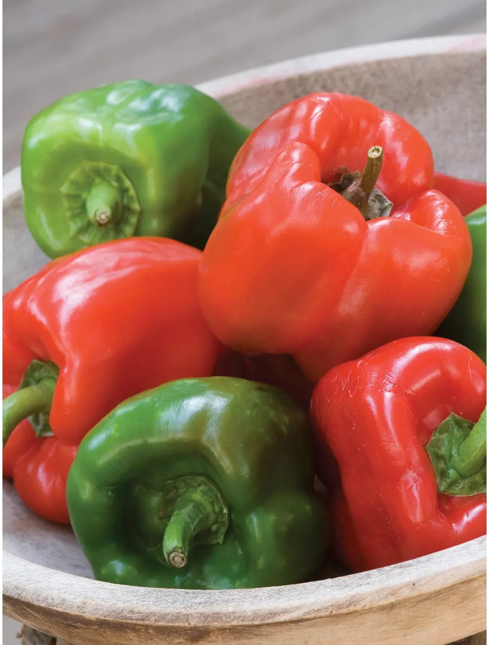 Pepper 'California Wonder - Bell'