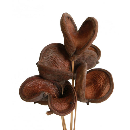 Badam Natural