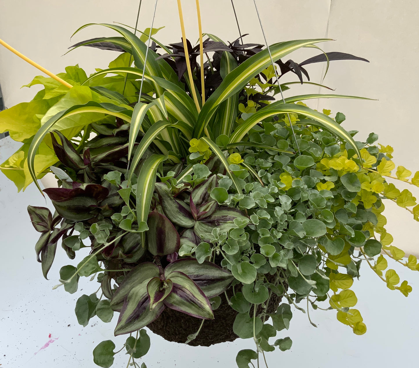 Foliage Mix 14" Fiber Hanging Basket