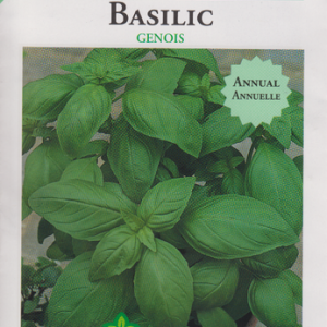 BASIL GENOVESE SEED