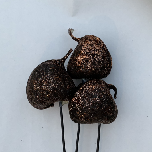 Buddha Nut