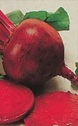 BEET DETROIT DARK - SEED