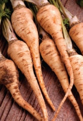 PARSLEY HAMBURG ROOT - SEED