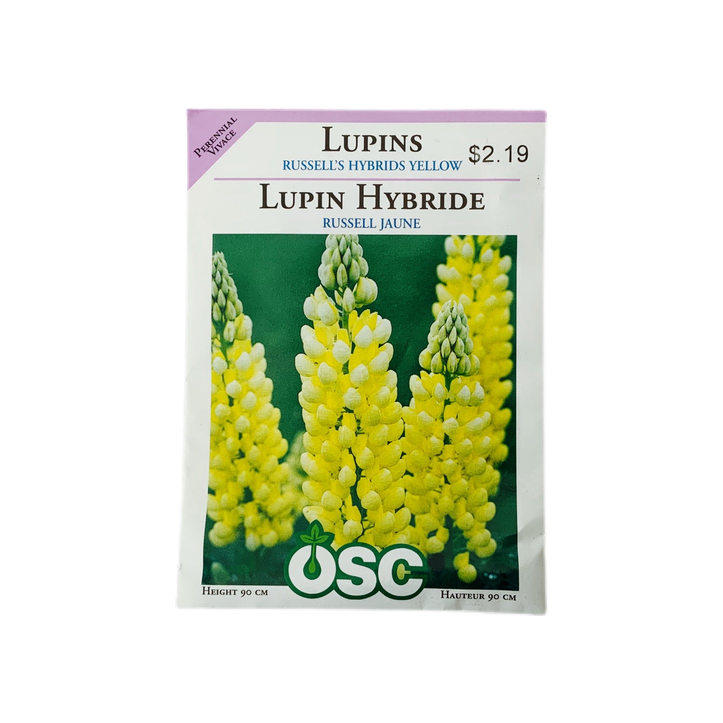 LUPINS RUSSELL'S HYBRIDS YELLOW - SEED