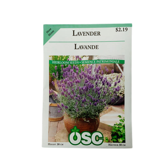 LAVENDER - SEED
