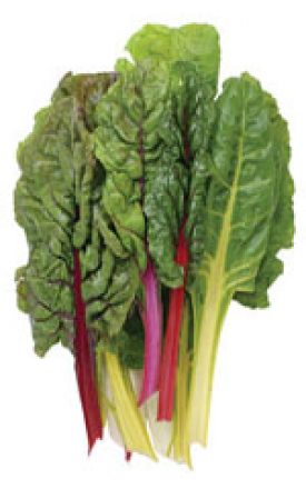 SWISS CHARD BRIGHT LIGHTS - SEED